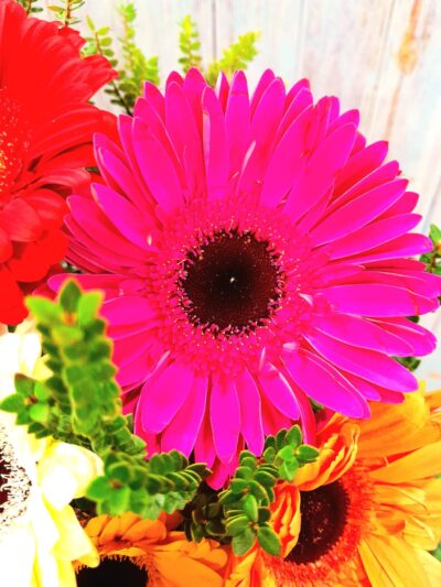 Florero 8 Gerberas 1.4